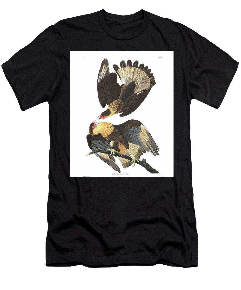 Brasilian Caracara Eagle Birds of America By John James Audubon Motionage Designs T-Shirt