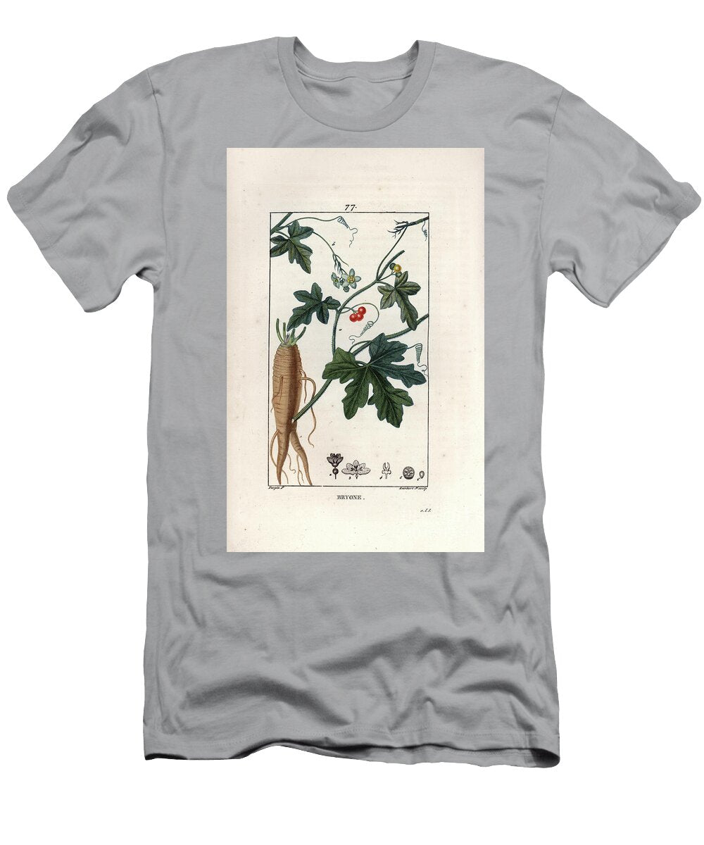 Bryone Blanche White Bryony Bryonia Alba with Leaf Tendril Flower Berry and Root European School T-Shirt