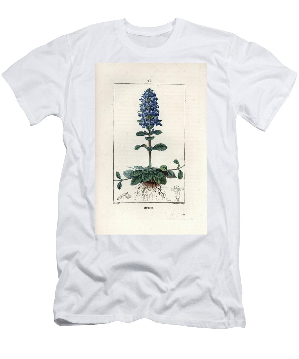Bugle Rampante Common Bugle Ajuga Reptans with Flower Leaf and Roots European School T-Shirt