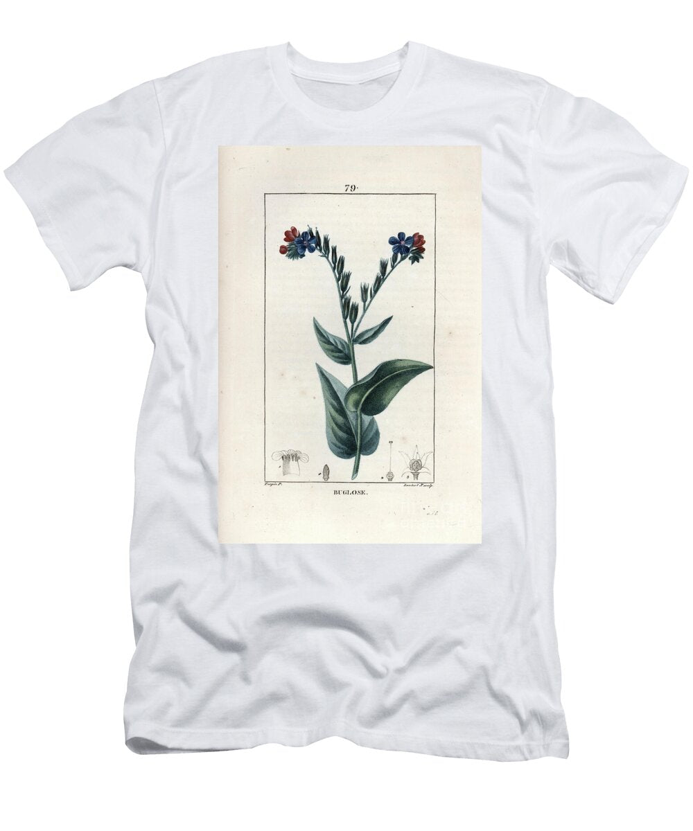 Buglosse Officinale or False Borage Bugloss Anchusa Officinalis European School T-Shirt