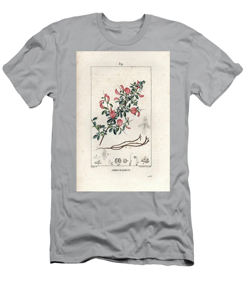 Bugrane Spineuse Ou Arrete Ox Field Restharrow Ononis Arvensis European School T-Shirt