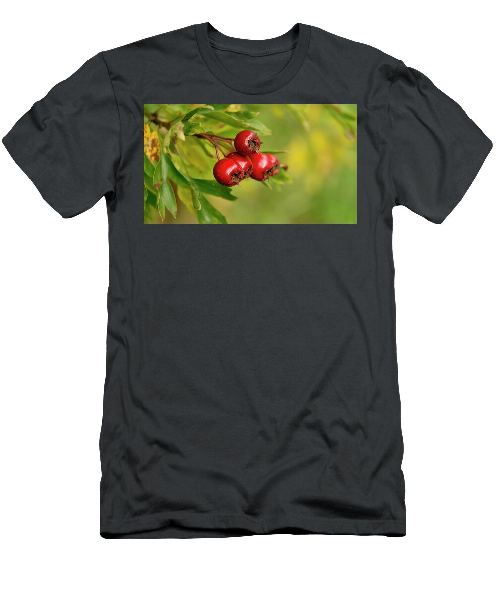 Bunch of Hawthorn Berries Elena Perelman T-Shirt