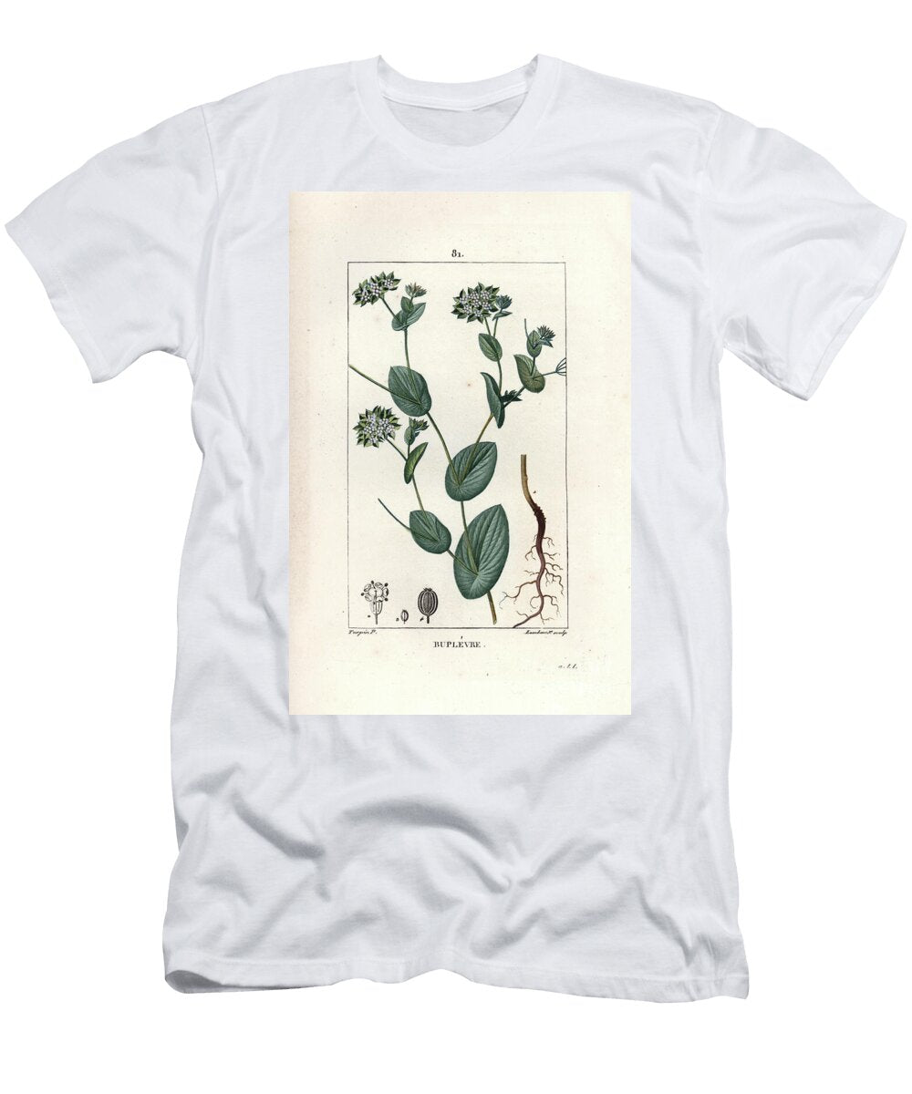 Buplevre a Leaf Round European School T-Shirt
