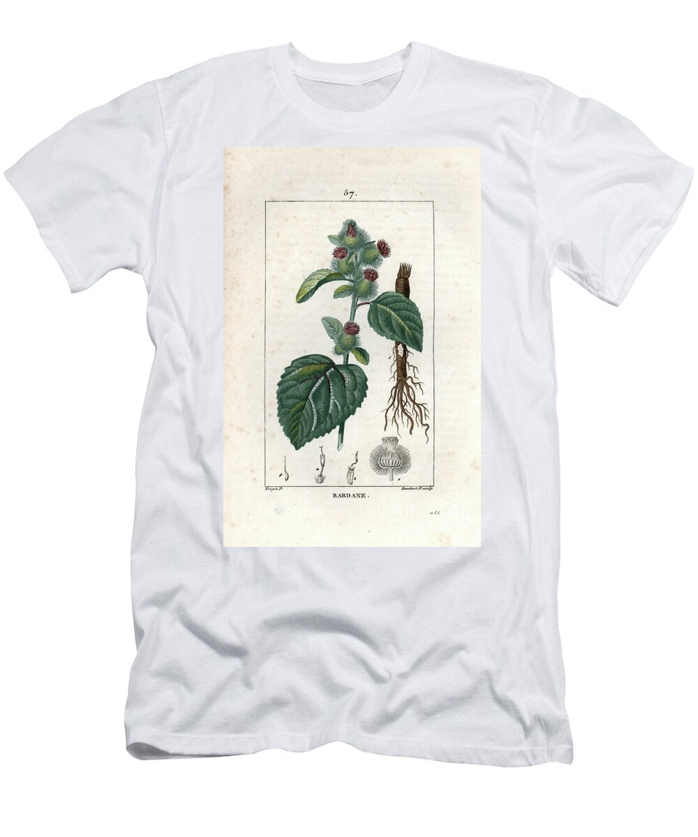 Burdock Engraving By Lambert Fils From LA Flore Medicale De Chaumeton Poiret Et Chamberet Paris 1830 European School T-Shirt