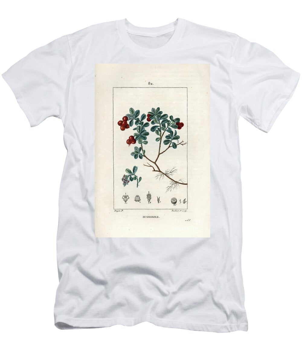 Busserole or Grape Dours European School T-Shirt