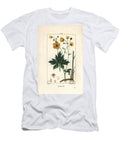 Buttercup Upright Crowfoot Ranunculus Acris with Flower Leaf Stalk and Root Pierre Jean Francois Turpin T-Shirt