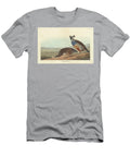 Californian Partridge 1838 Coloured Engraving John James Audubon T-Shirt