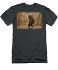 Cape Ground Squirrel Africa Douglas Barnard T-Shirt