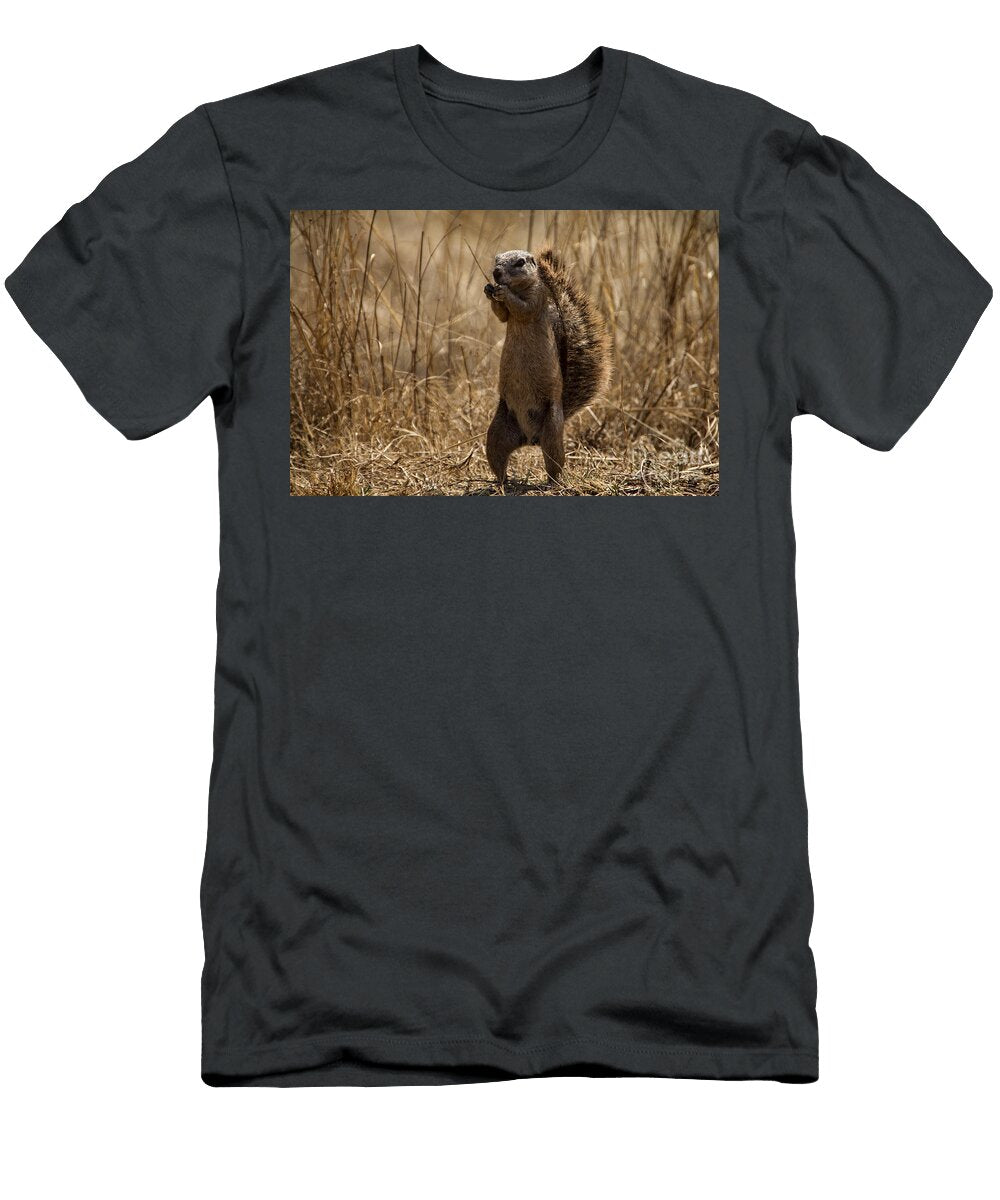 Cape Ground Squirrel Africa Douglas Barnard T-Shirt