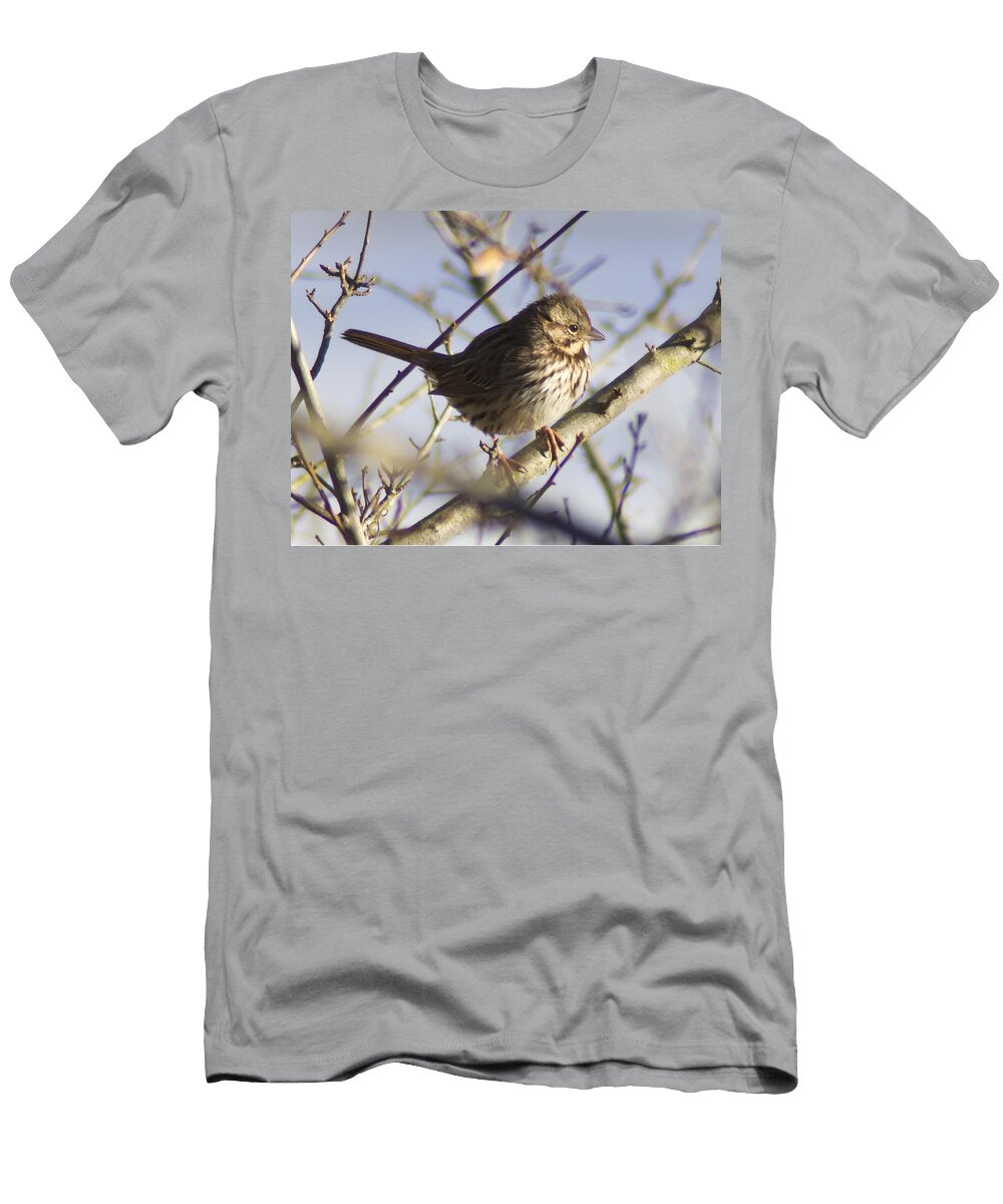 Carolina Wren B Wayne Mullins T-Shirt