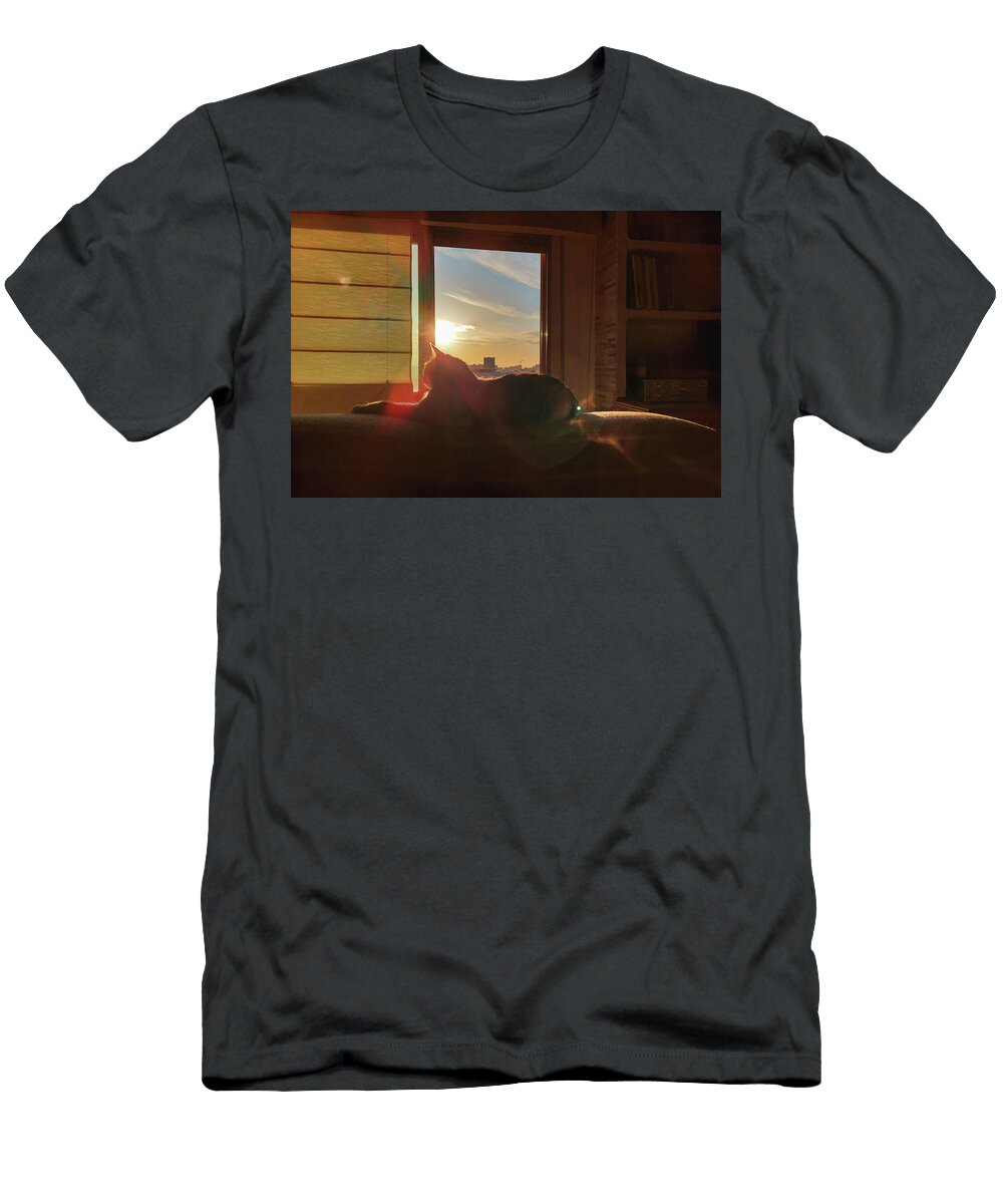Cat Lays on Bed At Sunset Reyes Calvo T-Shirt