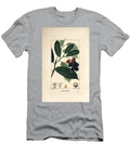 Cherry Laurel Cherry Laurel Prunus Laurocerasus with Leaf Fruit and Seed Pierre Jean Francois Turpin T-Shirt