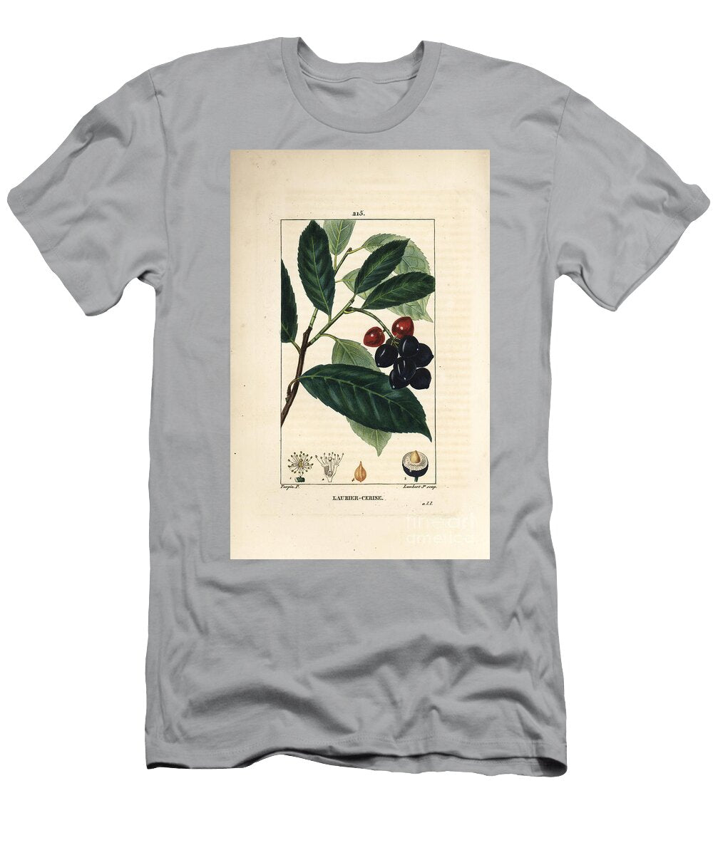 Cherry Laurel Cherry Laurel Prunus Laurocerasus with Leaf Fruit and Seed Pierre Jean Francois Turpin T-Shirt