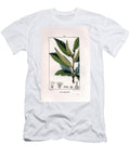 Chestnut Branch Sweet Chestnut Tree Castanea Sylvestris Pierre Jean Francois Turpin T-Shirt