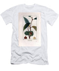 Chestnut Branch with Fruit Chestnut Sweet Chestnut Tree Castanea Sylvestris Pierre Jean Francois Turpin T-Shirt