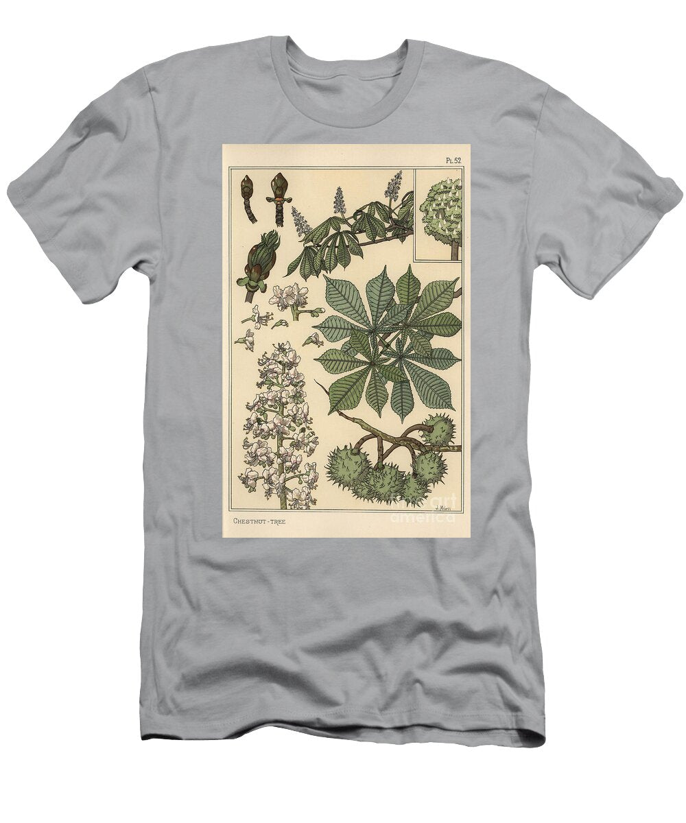 Chestnut Tree Botanical Study 1897 Lithograph Eugene Grasset T-Shirt