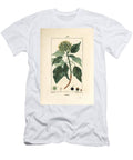 Climbing Ivy Common Ivy Hedera Helix Pierre Jean Francois Turpin T-Shirt
