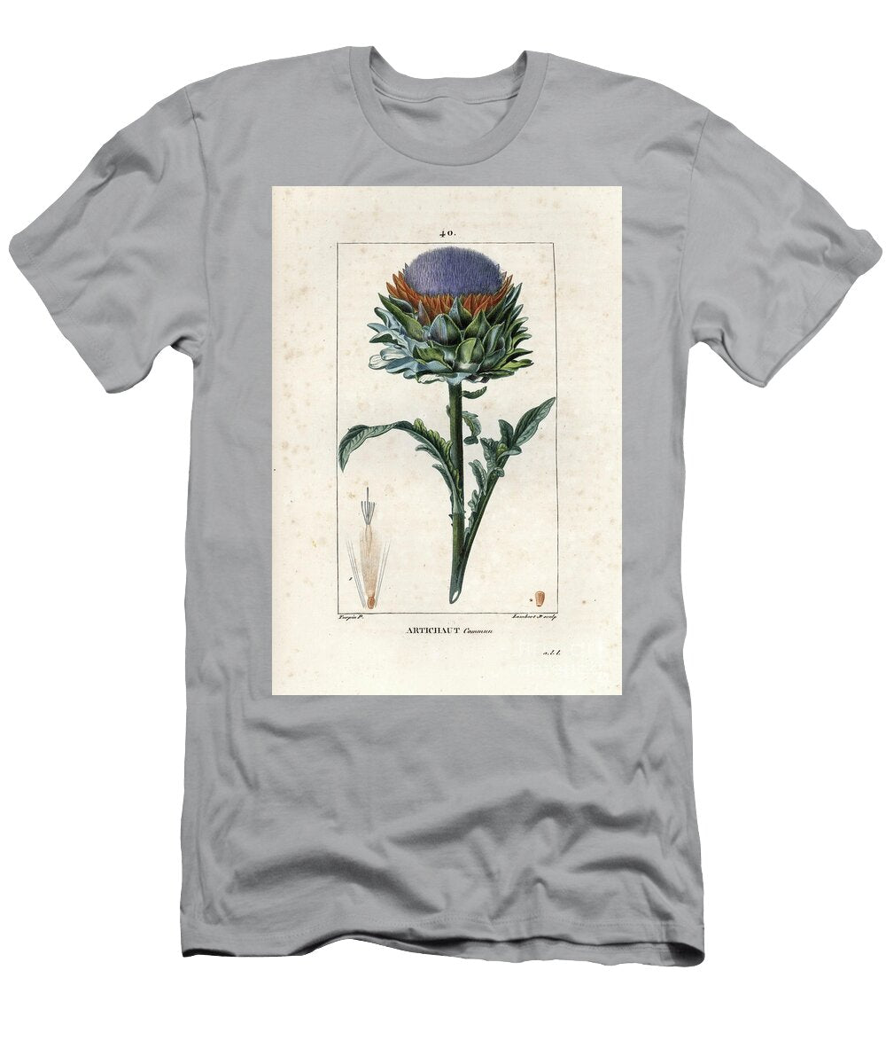 Common Artichoke Globe Artichoke Cynara Cardunculus Var Scolymus European School T-Shirt