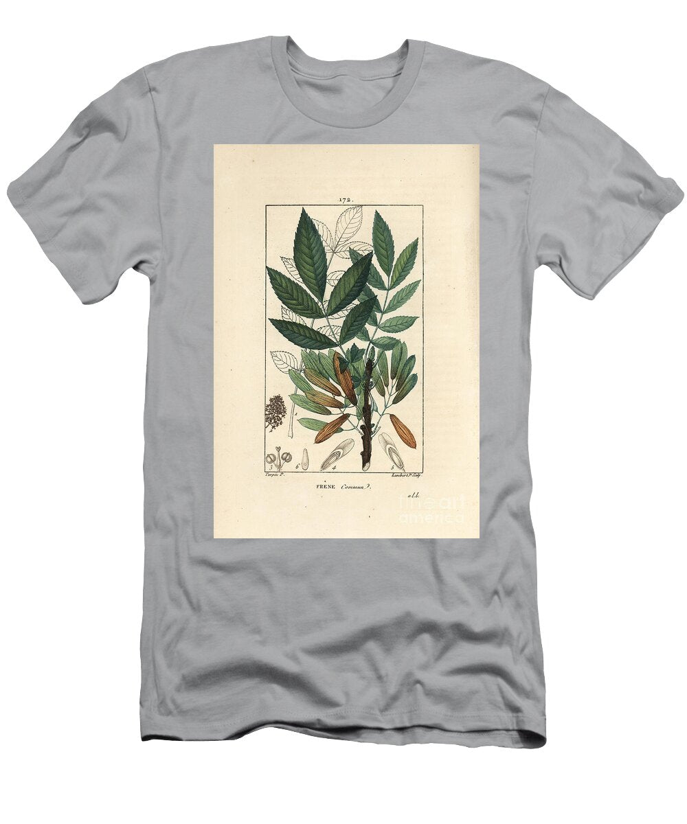 Common Ash or Ash Eleve Ash Tree Fraxinus Excelsior Showing Branch Leaves Seeds and Leaf in Outline Pierre Jean Francois Turpin T-Shirt