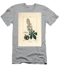 Common Chestnut Chestnut or White Chestnut Horsechestnut Aesculus Hippocastanum Pierre Jean Francois Turpin T-Shirt