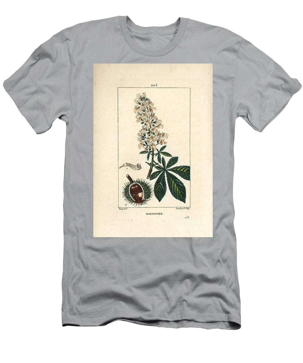 Common Chestnut Chestnut or White Chestnut Horsechestnut Aesculus Hippocastanum Pierre Jean Francois Turpin T-Shirt