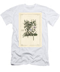 Common Jasmine Jasminum Officinale Linn the Younger Dupin T-Shirt