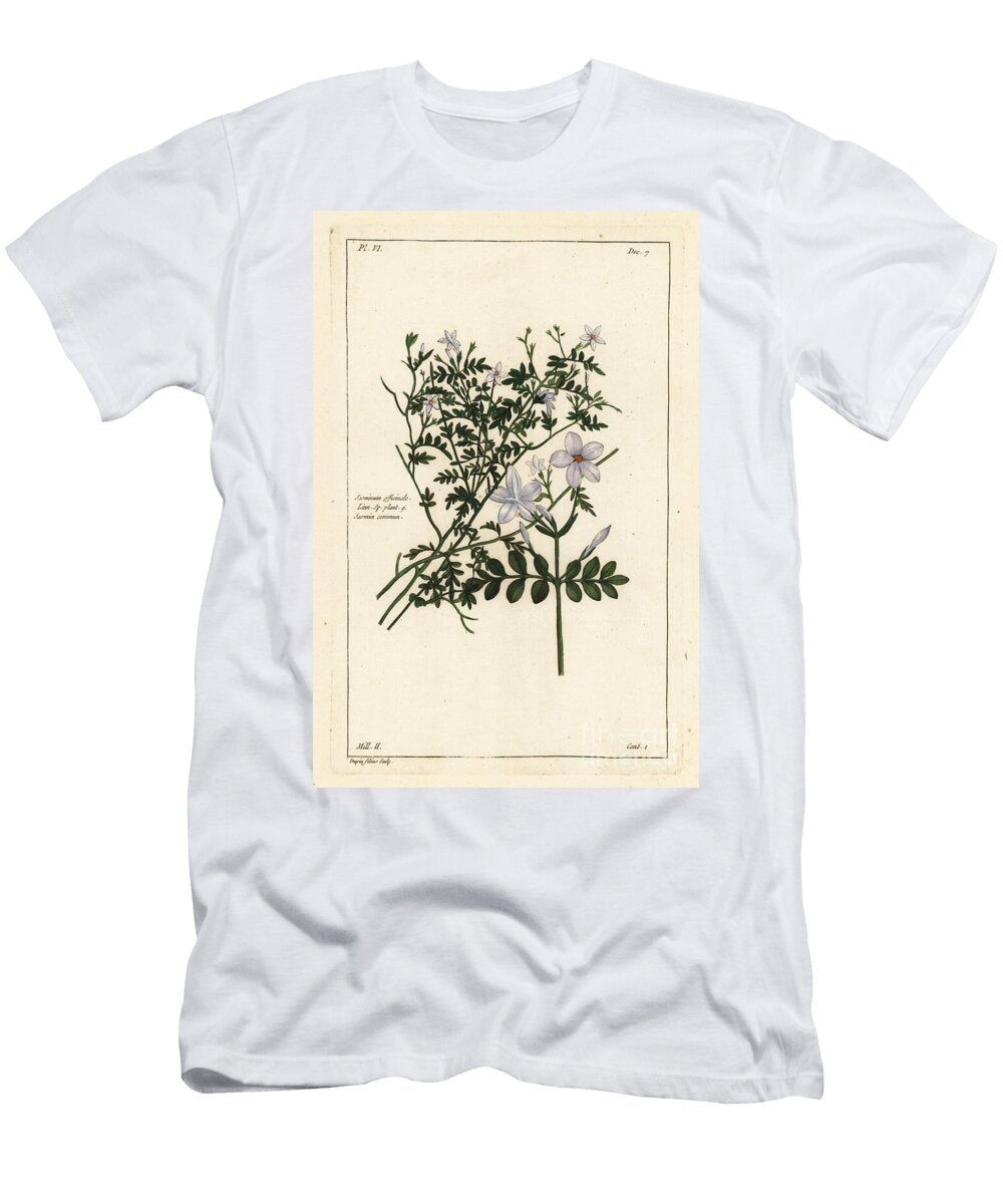 Common Jasmine Jasminum Officinale Linn the Younger Dupin T-Shirt