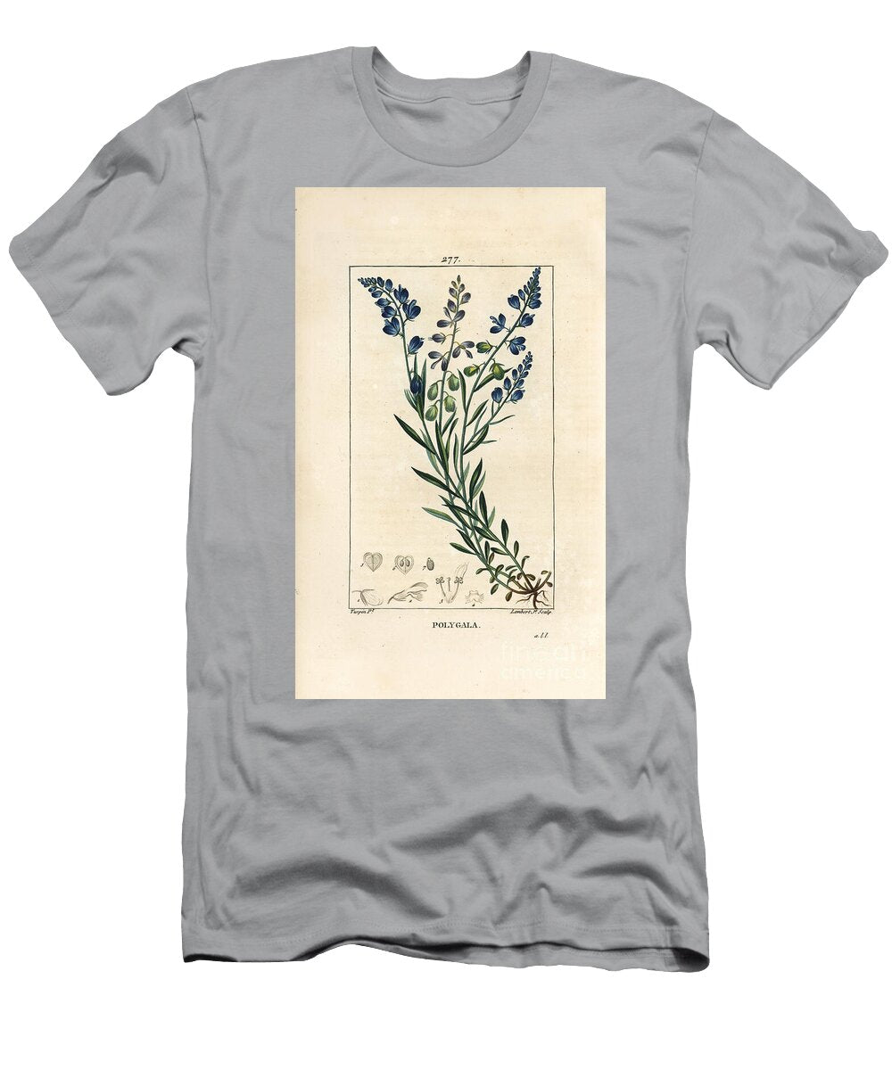Common Milkwort Milkwort Polygala Vulgaris with Flower Leaf Stalk and Root Pierre Jean Francois Turpin T-Shirt