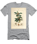 Common Neflier German Medlar Mespilus Germanica with Leaf Fruit Seed and Flower Pierre Jean Francois Turpin T-Shirt