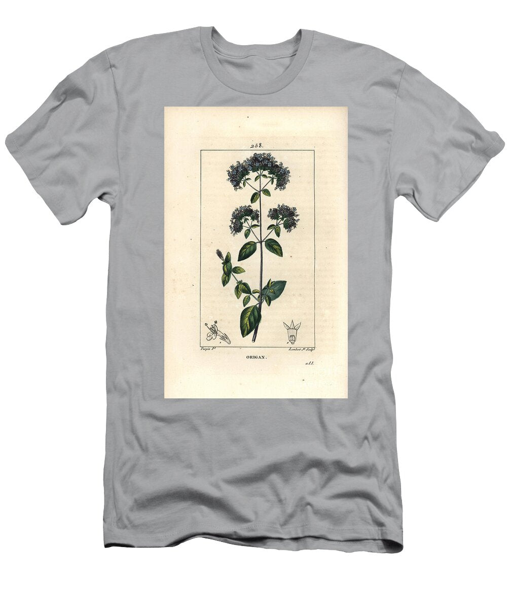 Common Oregano Also Called Wild Marjoram Oregano or Wild Marjoram Origanum Vulgare with Flower Leaf Stalk and Seed Pierre Jean Francois Turpin T-Shirt