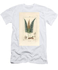 Common Polypod Polypody Fern Polypodium Vulgare with Leaf Seed and Root Pierre Jean Francois Turpin T-Shirt