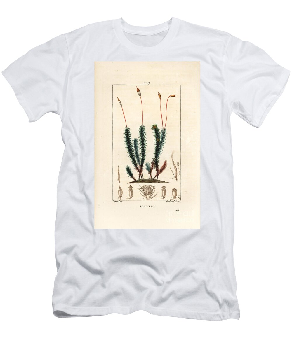 Common Polytrichum Foam Common Haircap Moss Common Polytrichum Pierre Jean Francois Turpin T-Shirt
