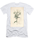Common Senecon Common Groundsel Senecio Vulgaris with Flower Leaf Seed Stalk and Leaf Outline Pierre Jean Francois Turpin T-Shirt