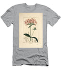 Common Soapwort Saponaria Officinalis with Flower Leaf Stem and Seed Pierre Jean Francois Turpin T-Shirt