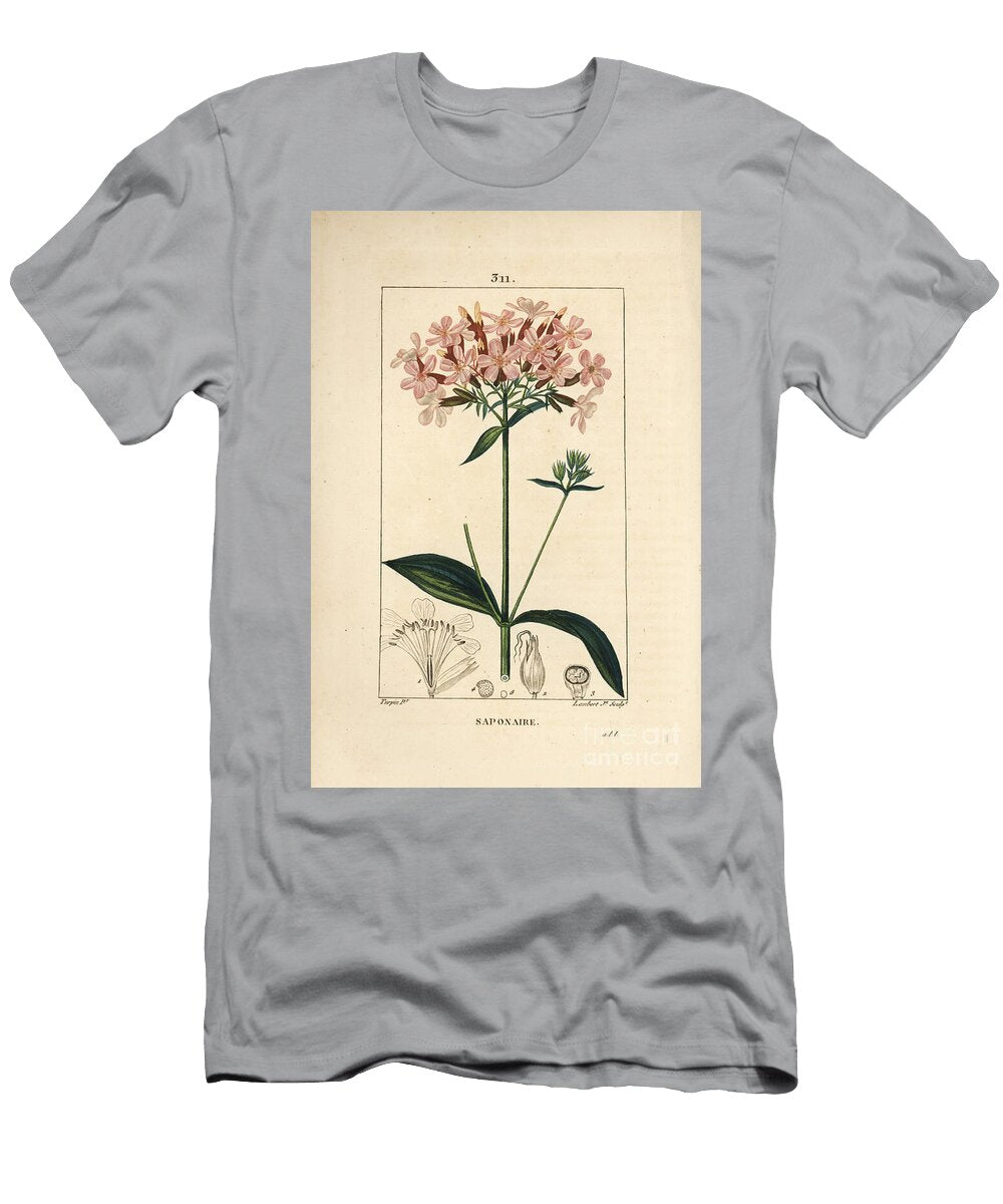 Common Soapwort Saponaria Officinalis with Flower Leaf Stem and Seed Pierre Jean Francois Turpin T-Shirt