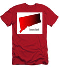 Connecticut in Halftone Bigalbaloo Stock T-Shirt