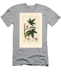 Copalm of America or Liquidambar Storax or Liquid Amber Liquidambar Styraciflua Pierre Jean Francois Turpin T-Shirt