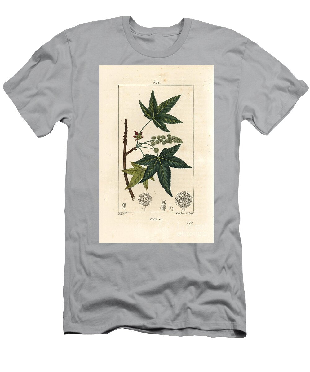 Copalm of America or Liquidambar Storax or Liquid Amber Liquidambar Styraciflua Pierre Jean Francois Turpin T-Shirt