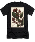 Cornucopian Shrub Copianthus Indica Hil the Younger Dupin T-Shirt