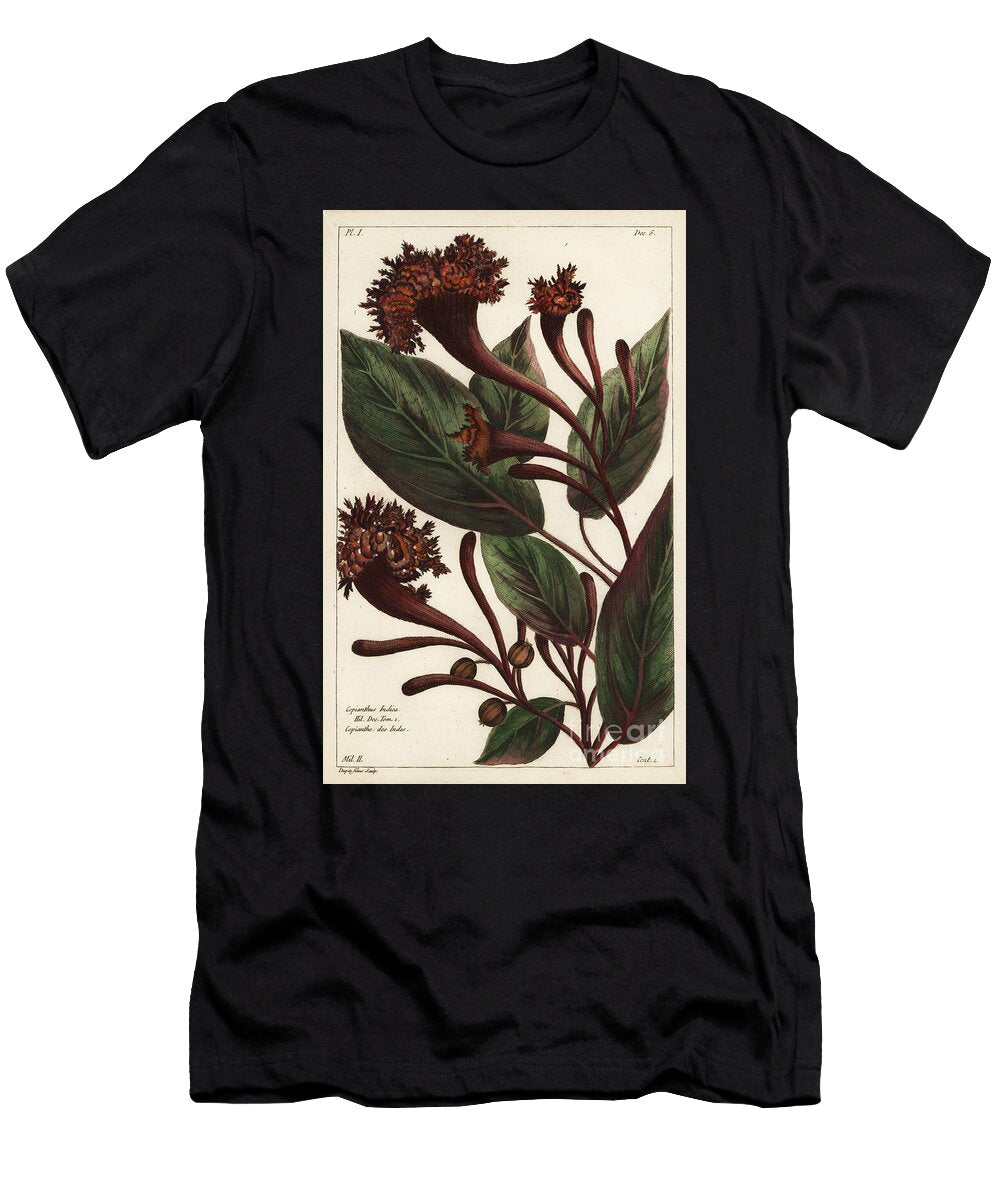 Cornucopian Shrub Copianthus Indica Hil the Younger Dupin T-Shirt