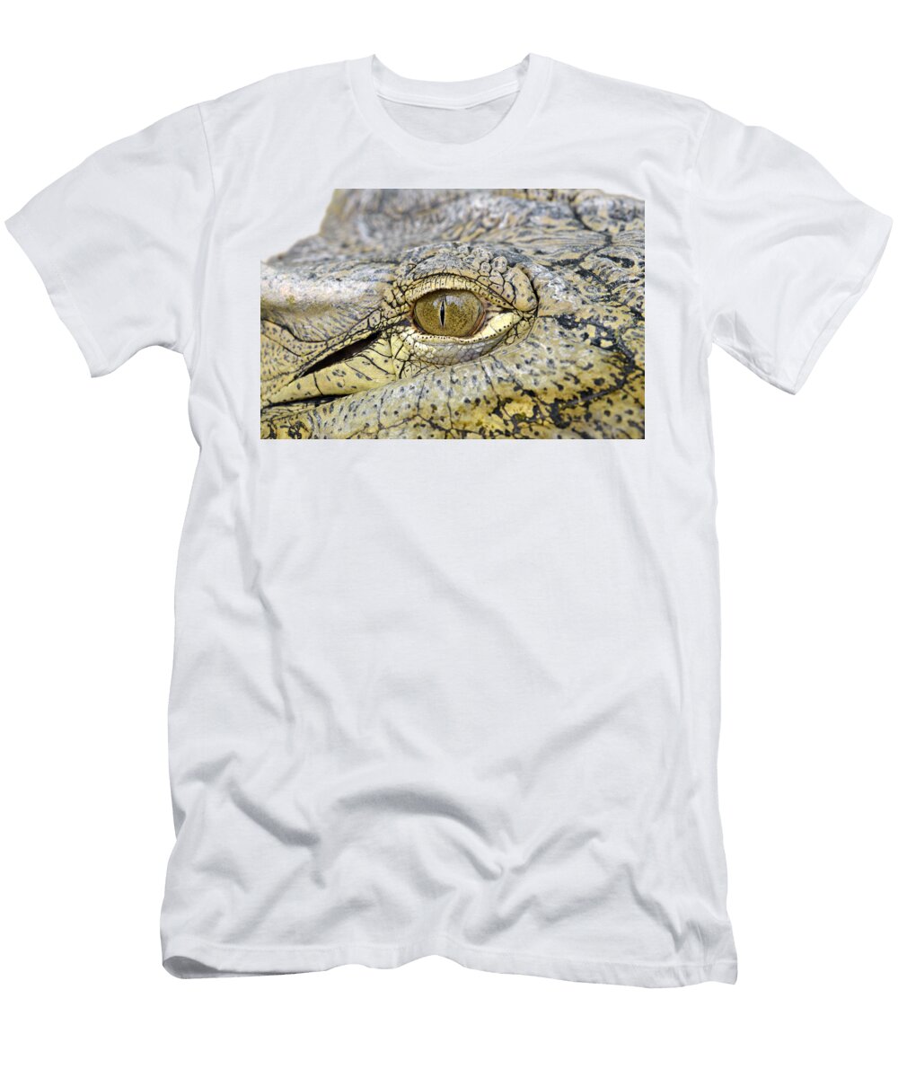 Crocodile Eye George Atsametakis T-Shirt