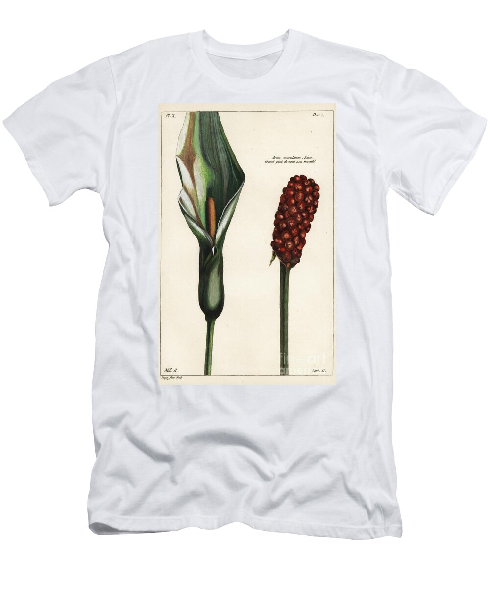 Cuckoo Pint or Wild Arum Flower and Fruit Arum Maculatum Linn the Younger Dupin T-Shirt