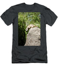 Curious Meerkat on a Rock Masha Batkova T-Shirt