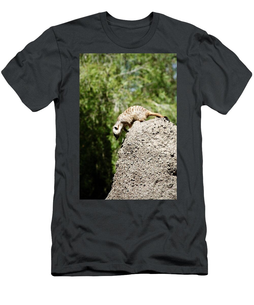 Curious Meerkat on a Rock Masha Batkova T-Shirt