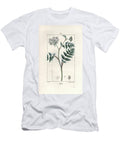 Cutleaf Water Parsnip Berula Erecta European School T-Shirt