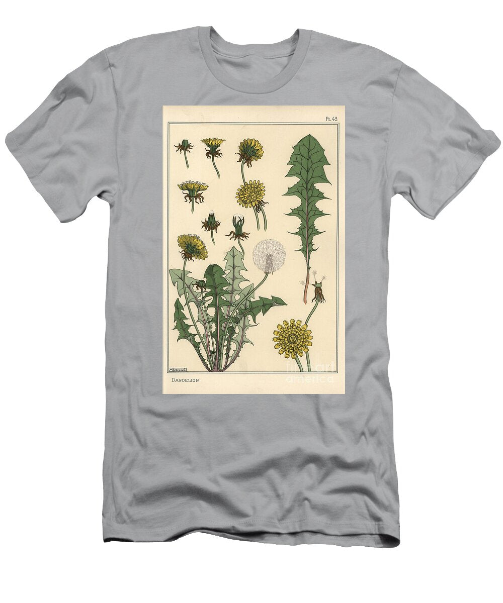 Dandelion Botanical Study 1897 Lithograph Eugene Grasset T-Shirt