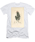 Daphne Garou Thymele or Saint Bois Spurge Flax Daphne Gnidium Pierre Jean Francois Turpin T-Shirt