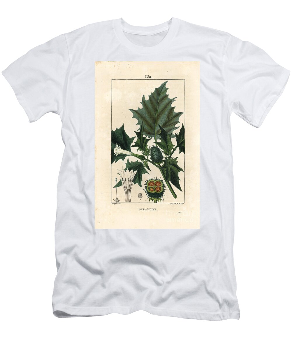 Datura Officinal Stramoine or Spinous Apple Thorn Apple Loco Weed or Jimson Weed Datura Stramonium Pierre Jean Francois Turpin T-Shirt