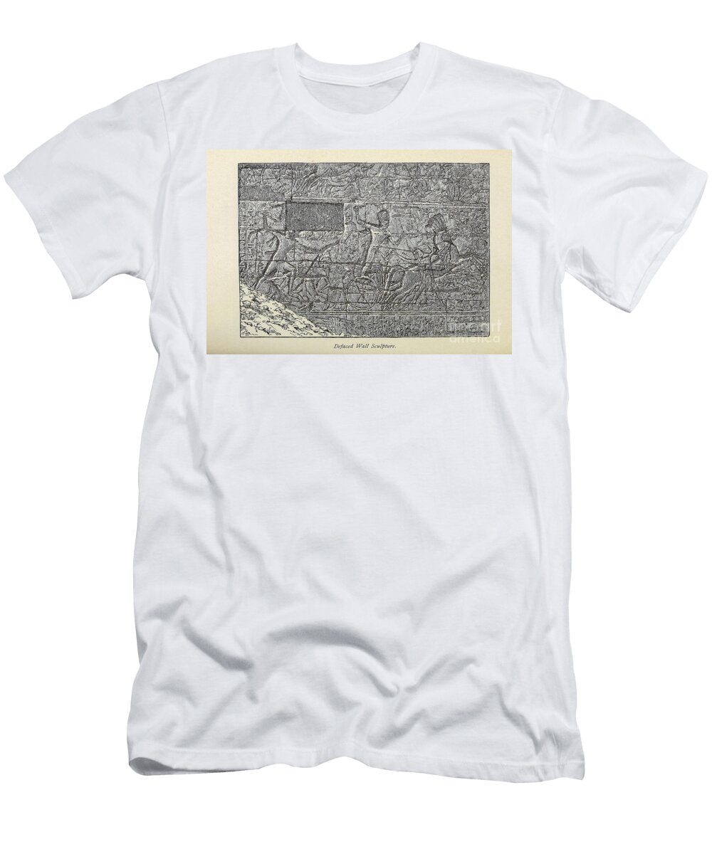Defaced Wall Sculpture M4 Historic Illustrations T-Shirt