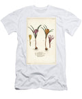Different Species of Spring Crocus Crocus Vernus Linn the Younger Dupin T-Shirt